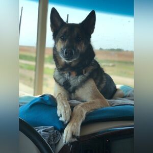 FREE Love + Light from King Duke